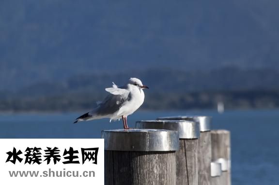 怎么才能叫射精