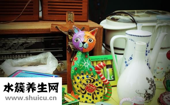 小貓長跳蚤怎么辦