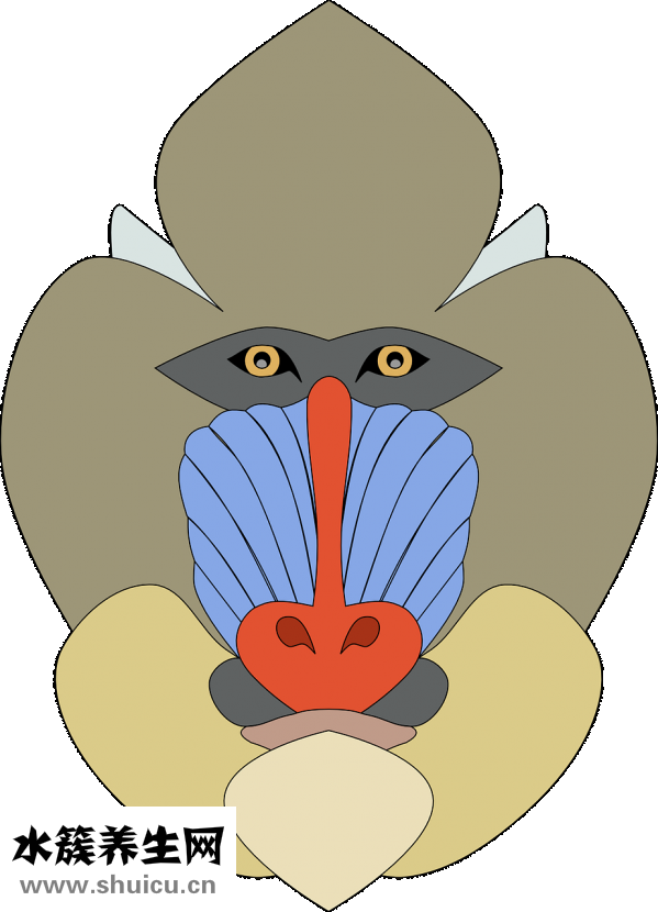 頭部發(fā)緊感怎么辦