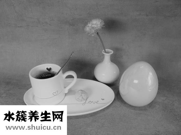 肉包子餡怎么做松軟