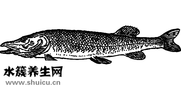 海鮮過敏了怎么辦