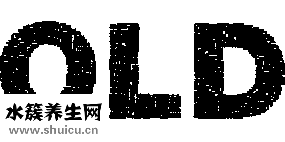 竹子怎么看年齡