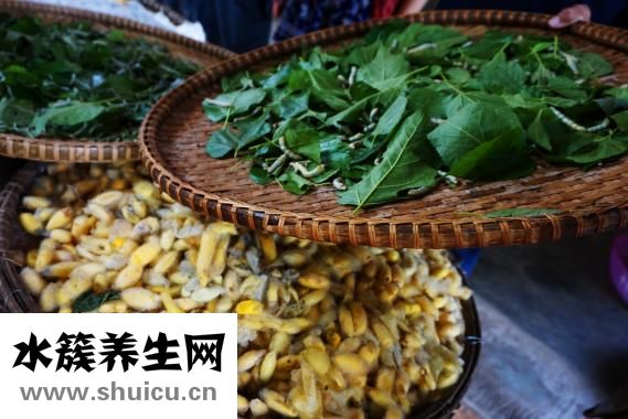 紅薯面窩窩頭怎么做