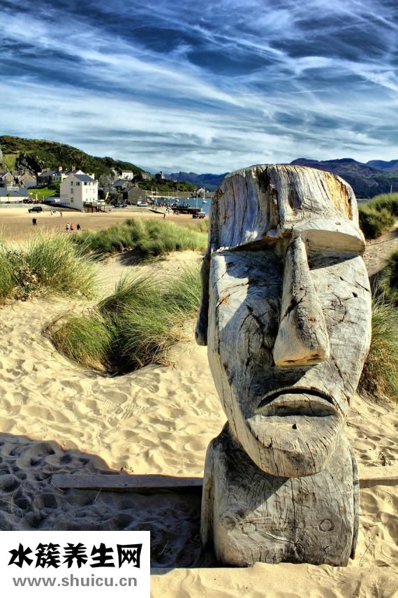 孕婦吃草魚怎么做好