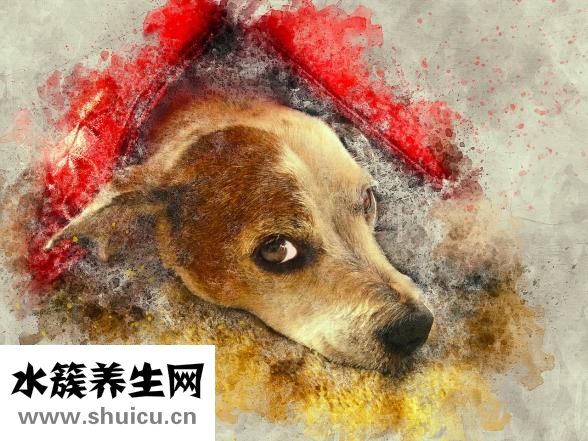 護理教案怎么寫