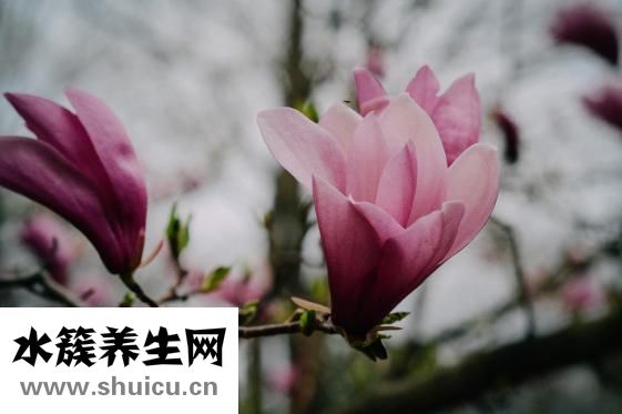 孩子打父母怎么教育