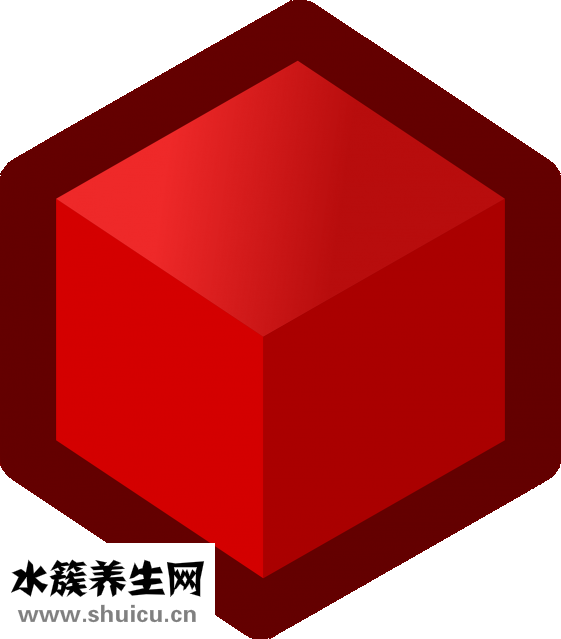 海洋生物球怎么養大