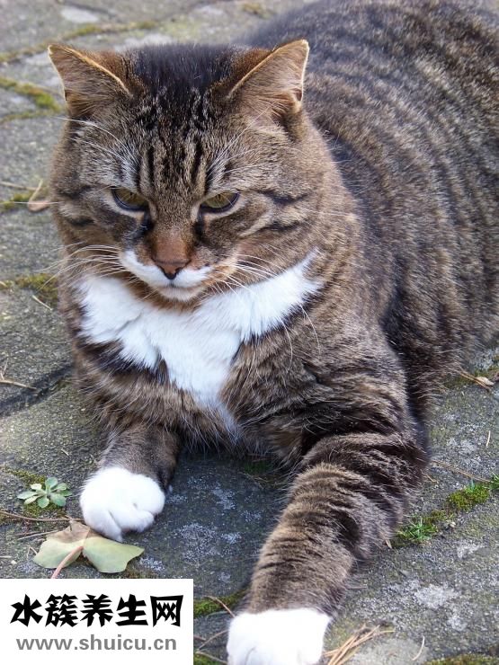 怎么讓汗毛變細(xì)