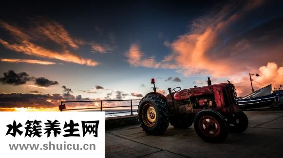 甘草煎酒怎么用