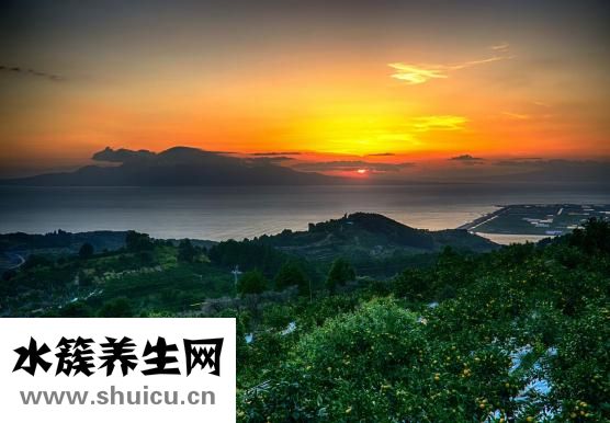 孕婦怎么吃陳皮