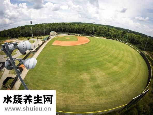 身體有內(nèi)濕怎么辦