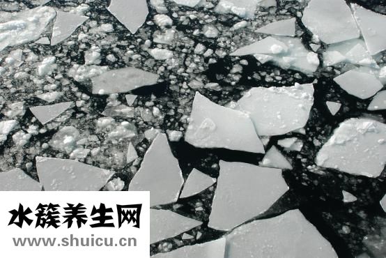 超大塊肌肉男怎么