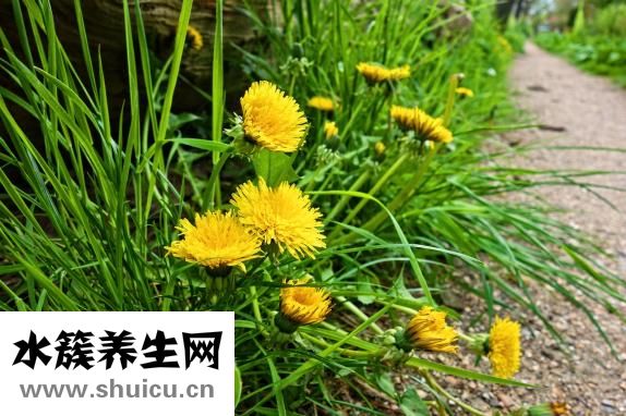 膨化食品怎么吃不胖