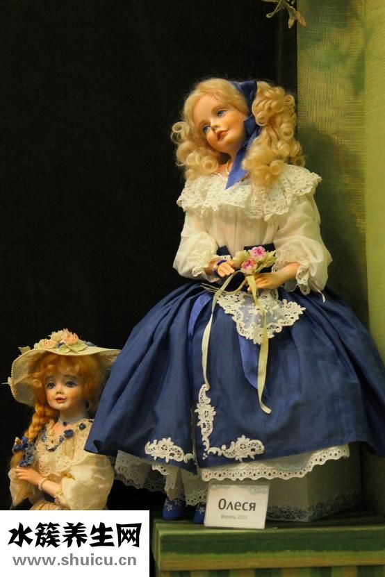 木瓜樹冬天怎么養