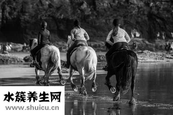 真羊假羊是怎么回事