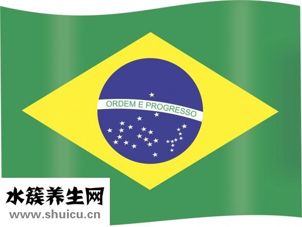 幼兒怎么學畫畫