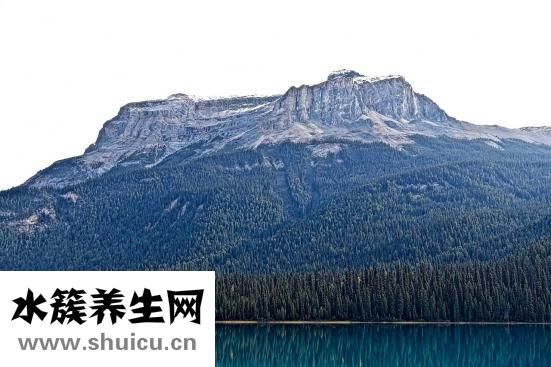 月經(jīng)時間忘了怎么辦