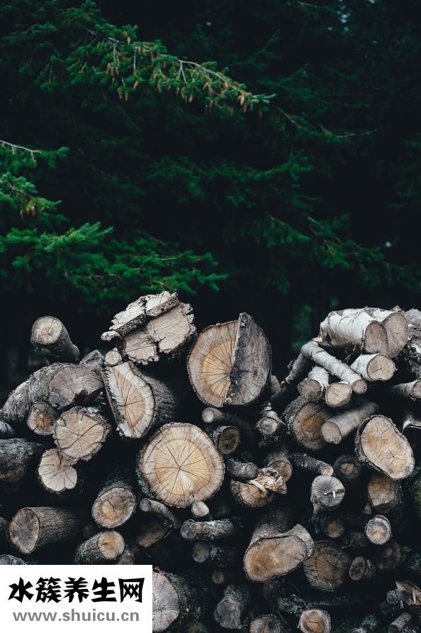 怎么讓寶寶快速坐著