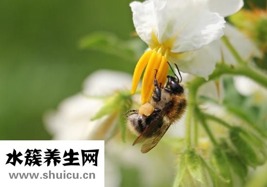 耳朵疼聾怎么辦