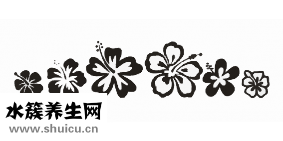 怎么洗紋身不留疤