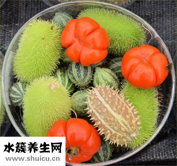 感冒怎么做營養粥