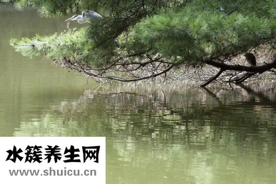 怎么讓寶寶快速坐著