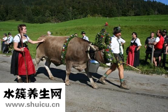 板腱牛排怎么做