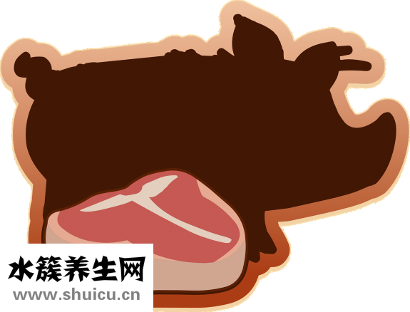 豪豬肉怎么做好吃