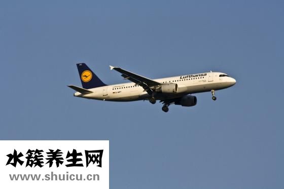 在家里怎么藏飛機(jī)杯