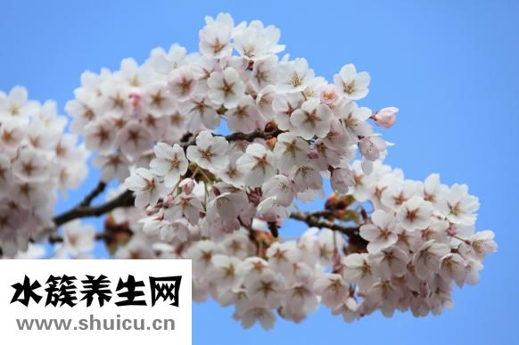 美瞳戴不進怎么辦