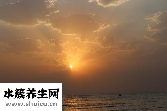 大腿太胖了怎么變瘦