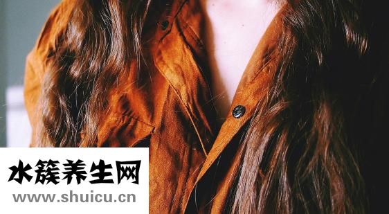 格力犬怎么查詢血統