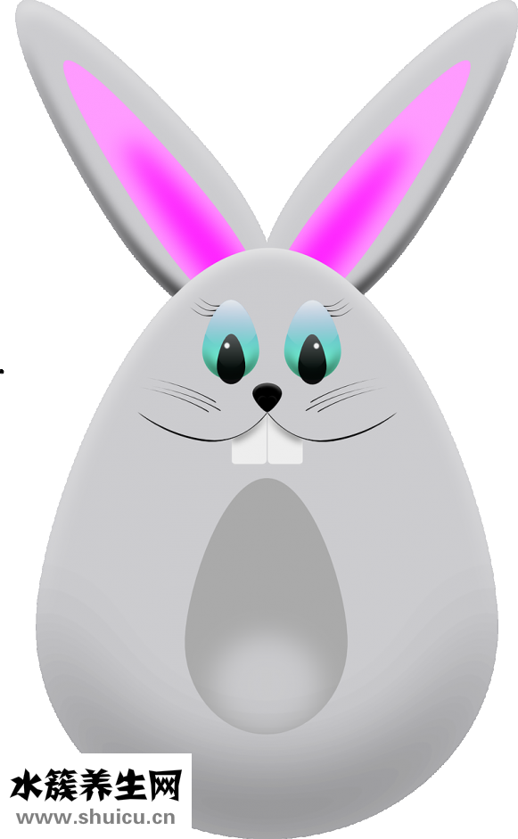 生兔肝怎么做好吃