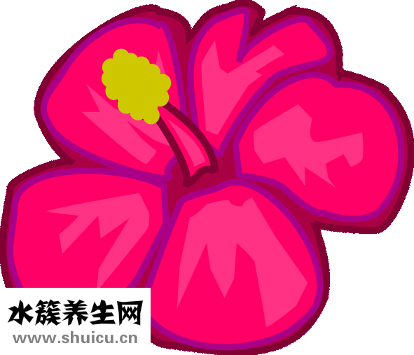 處女私處很黑怎么辦