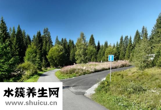 威王豆漿機怎么用