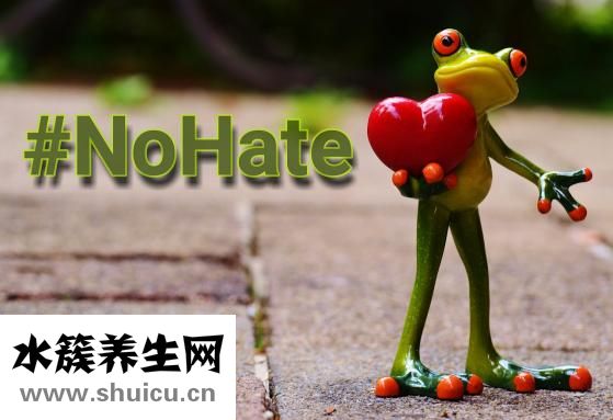 表格總寬怎么查