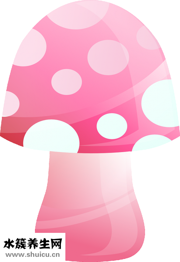 頭皮爛了怎么回事