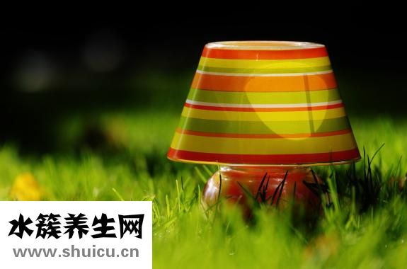 更年期健忘怎么調理