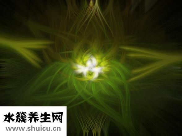 大腿太胖了怎么變瘦