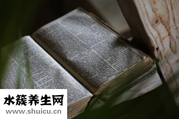 身份證失效怎么辦