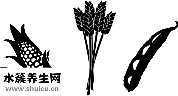 威王豆漿機怎么用