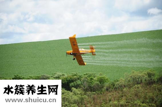 威王豆漿機怎么用