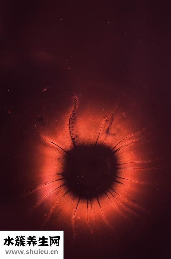 美瞳戴不進怎么辦