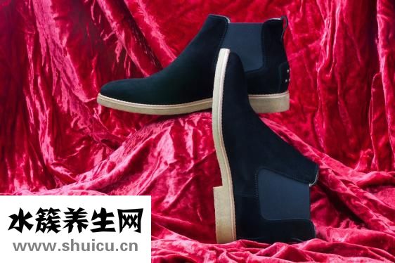 格力犬怎么查詢血統