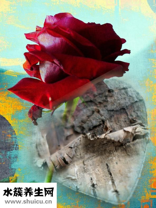 老公變了心怎么辦