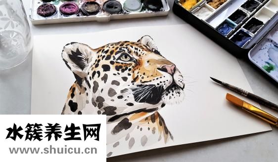 怎么查看以前的量比