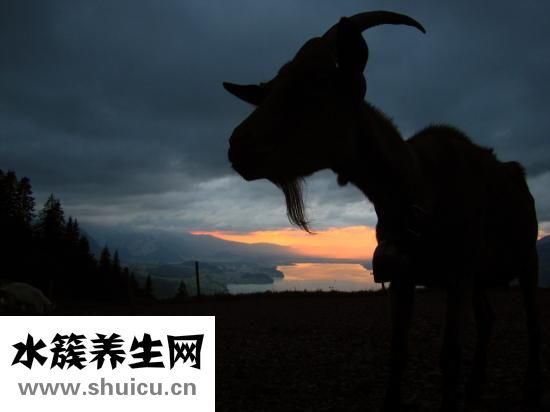 女孩心情不好怎么辦