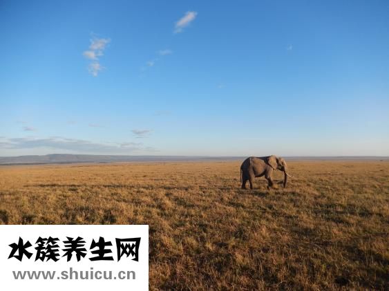 臉內(nèi)翻怎么辦