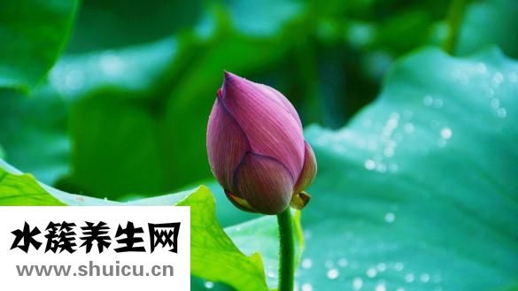 睡火炕上火怎么辦