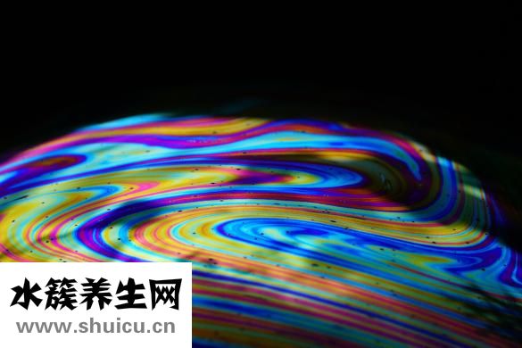 梭子蟹火鍋怎么做